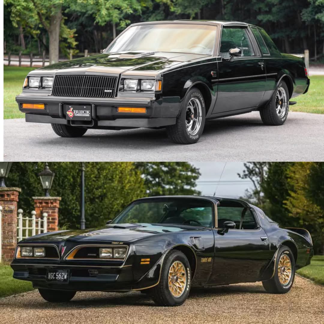 Vintage Cars Collection tweet media