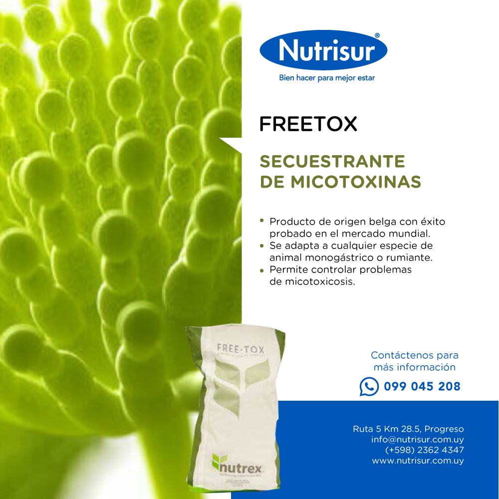 👉𝐅𝐑𝐄𝐄𝐓𝐎𝐗 previene los problemas asociados con micotoxinas y protege su rodeo lechero 🐄, mientras mejora la producción 💪