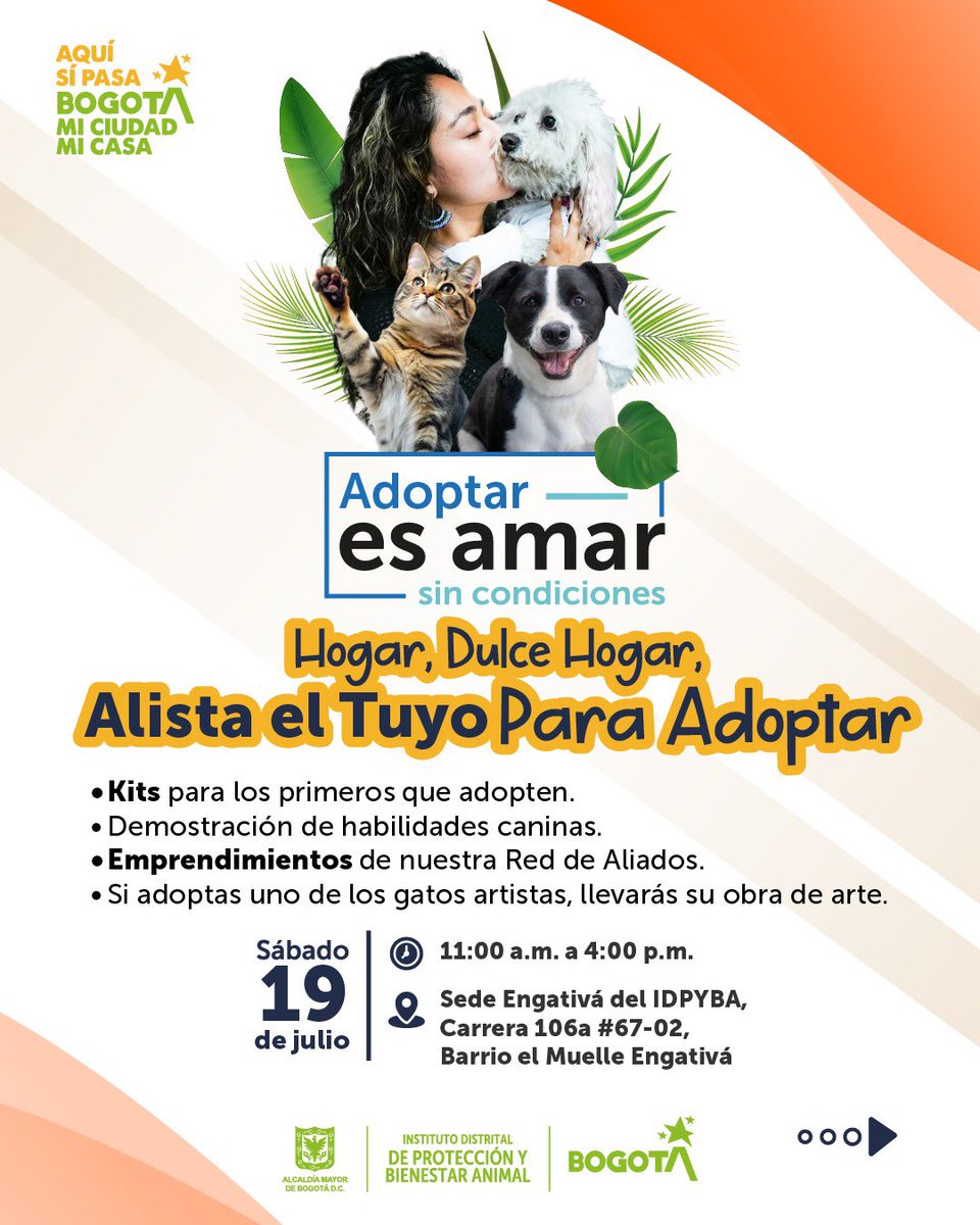 AnimalesBOG's tweet photo. ¡Adoptar es amar sin condiciones!🐶😽💖

Este sábado 19 de julio es tu oportunidad de brindar un 'Hogar dulce hogar' a un perro o gato rescatado. ¡Ven y adopta!✨

📍 Sede IDPYBA Engativá
📍Cra. 106a # 67-02
🕚 11 a.m. a 4 p.m.

#BogotáMiCiudadMiCasa es animalista.🐾 https://t.co/16goAzfkNZ