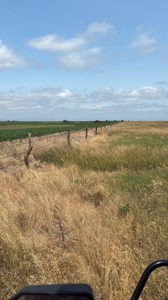 A nice cold front always makes this more enjoyable.