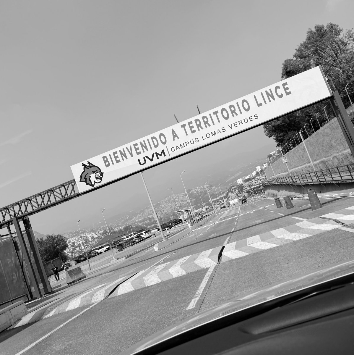 Carlos Rosado tweet media