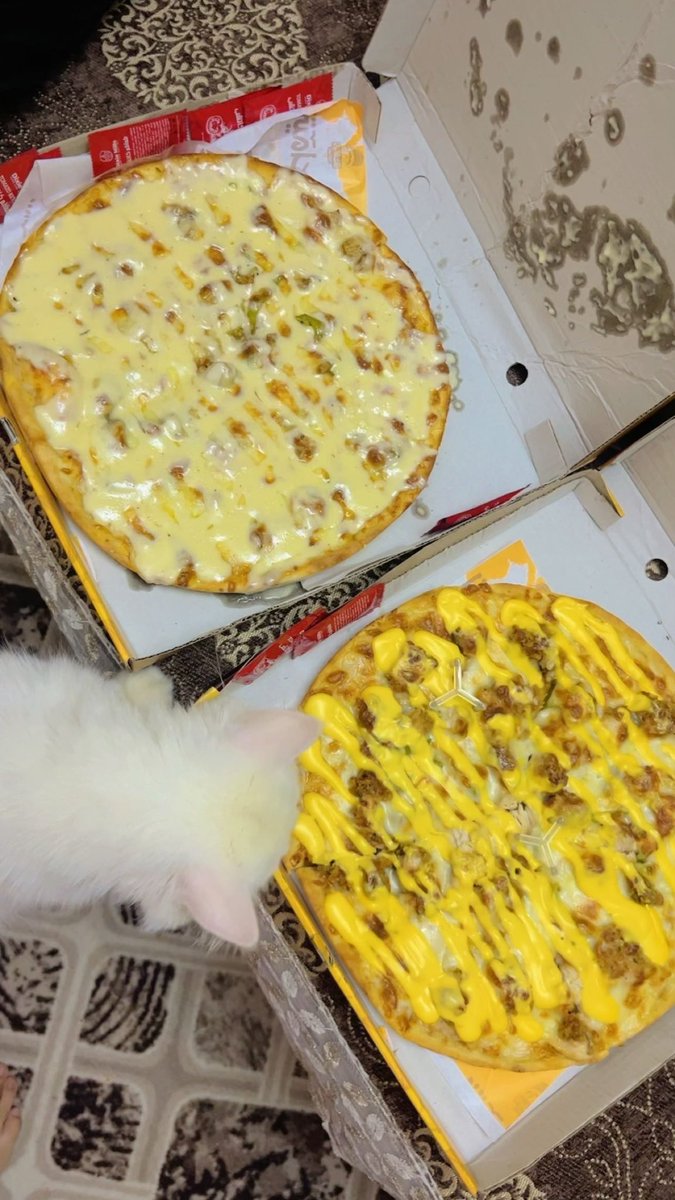 بوكا بيستكشف