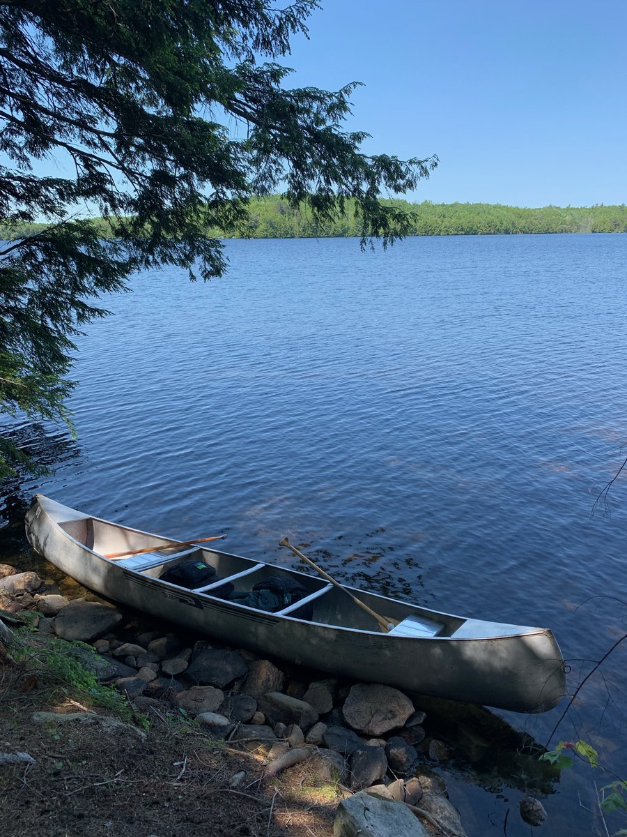 Celebrate Healthy Parks Healthy People with Ontario Parks!
🎉 Free Day Use at Ontario Parks!
📅 July 18, 2025
📍 All operating Ontario Parks
💚Enjoy free access to nature, trails, beaches &amp; more until 10PM!
🚗 Reserve your spot: ontarioparks.ca/hphp/freedayuse
#KHSSP #FreeDayUse