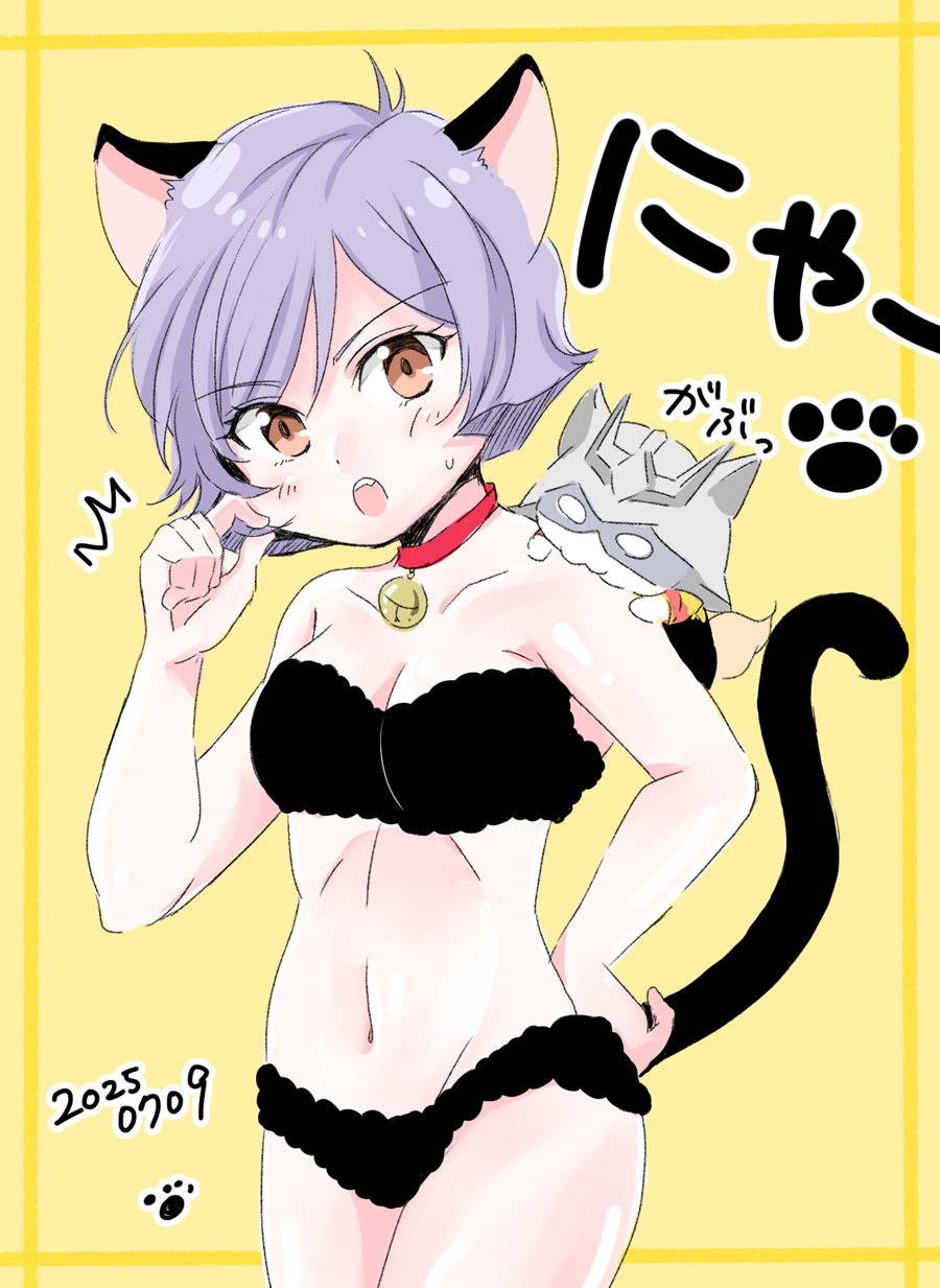 風の猫三郎 on X: 