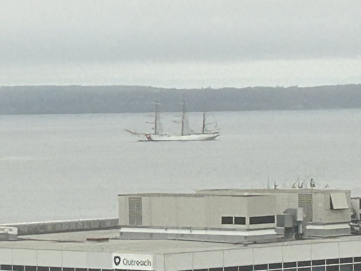 Denise Whitaker🏃‍♀️ tweet media