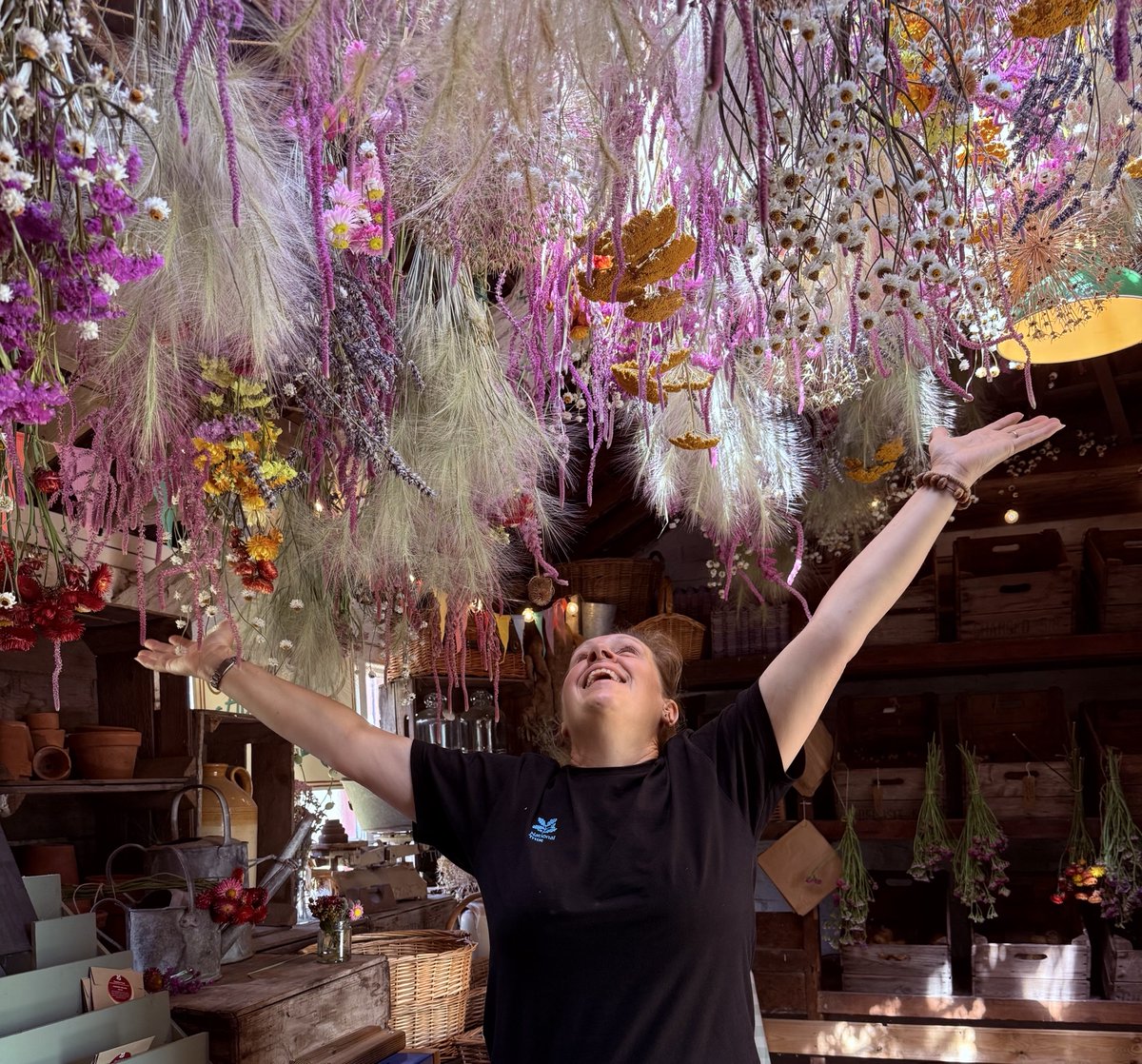 What a joy! 🌸 The Gardens team have done it again with another breathtaking display of dried flowers in the Apple Store. A must-see on your next visit, you can find the Apple Store in the Glasshouse within the walled kitchen garden.📷 Jules Allen #ClumberPark