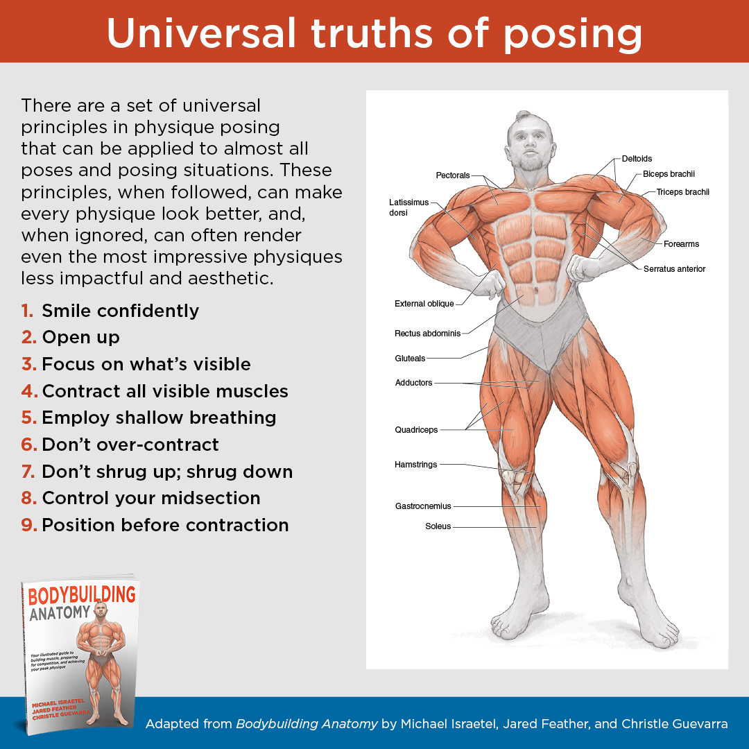 HumanKineticsEU's tweet image. There are a set of universal principles in physique posing that can be applied to almost all poses and posing situations. 💪

Find out more in Bodybuilding Anatomy by Michael Israetel, Jared Feather and Christle Guevarra:

➡️ bit.ly/3Fgr5fx

#Bodybuilding