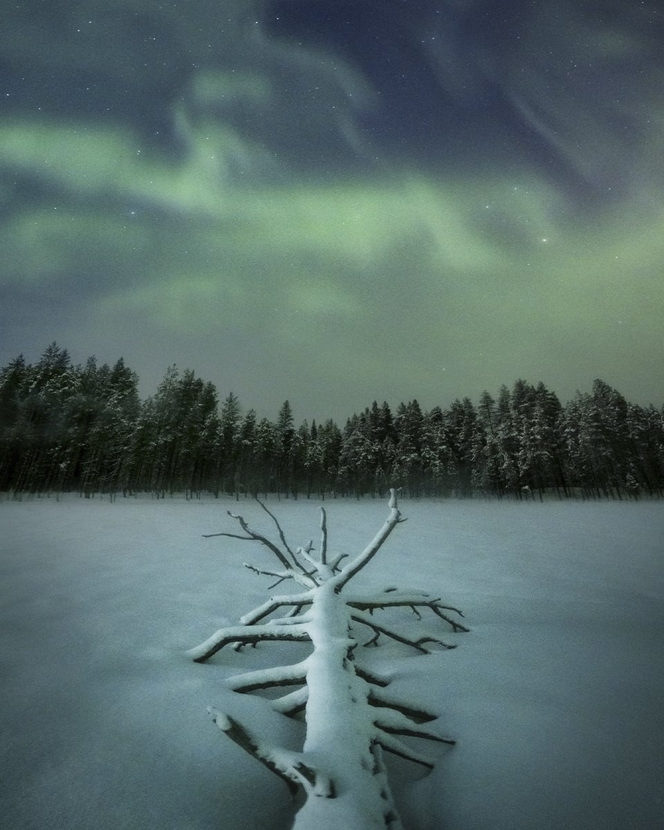 En busca de las auroras boreales… ¡Y encontradas!
❄️ Hoy nos refrescamos, aunque sea de forma virtual, con esta fotografía de Dani Sanz al norte del continente.

Ubicación, parámetros y equipo utilizado en nuestro perfil de Instagram.
#CanonEspaña