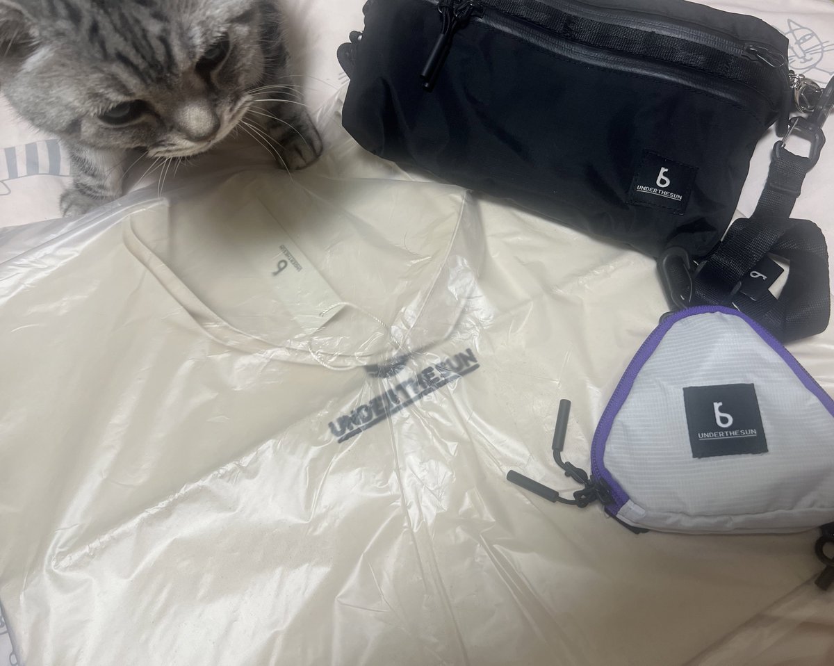 先日のリポスト企画で #UNDERTHESUN  様よりトートバッグ当たりました✨
ありがとうございます！！！
二度あることは三度あるを願って🌌………貪欲に行きたいと思います笑
𝑩𝑰𝑮 𝑳𝑶𝑽𝑬______