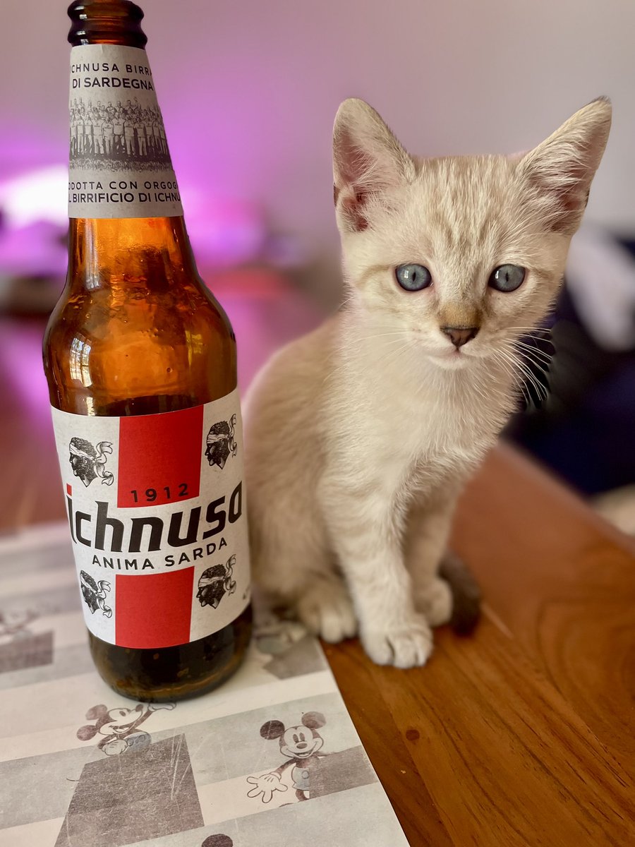 zmlsana's tweet photo. Jako mlíko dobrý, ale tady ta lahev se mi dost líbí. V ní prostě špatný pití být nemůže.
#Mandorla
#malýČočky https://t.co/haUr9UoS9o