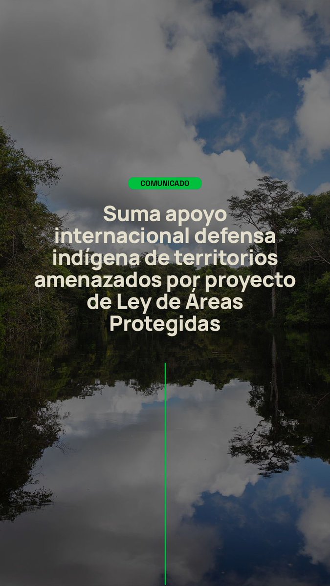 🔗amazonfrontlines.org/es/chronicles/… 

Organizaciones civiles internacionales y celebridades como #JaneFonda se están sumando al llamado de pueblos y nacionalidades indígenas que reclaman al gobierno #ecuatoriano y a la #AsambleaNacional su derecho a ser consultados frente a la iniciativa