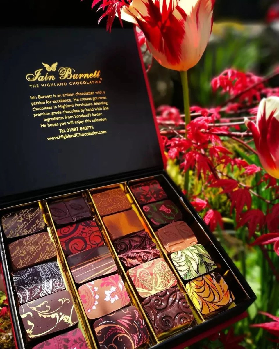 Iain Burnett tweet media