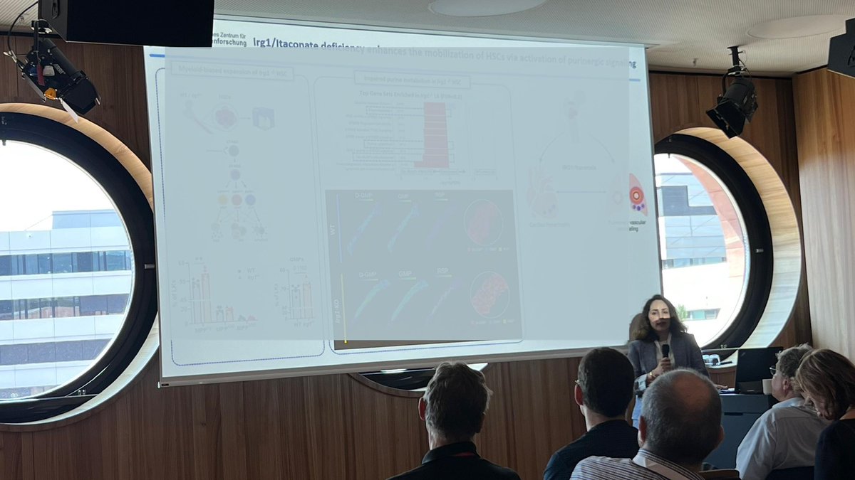 PullamsettiL's tweet image. We’re thrilled with the amazing teasers from @MsheikZahraa1 and @GolnazHesami for the PH disease area at the DZL Annual Meeting 2025 in Heidelberg — providing valuable insights into the field and sparking great discussions!
@dzlacademy @jlugiessen @CPI_ExStra @UKGM_Presse