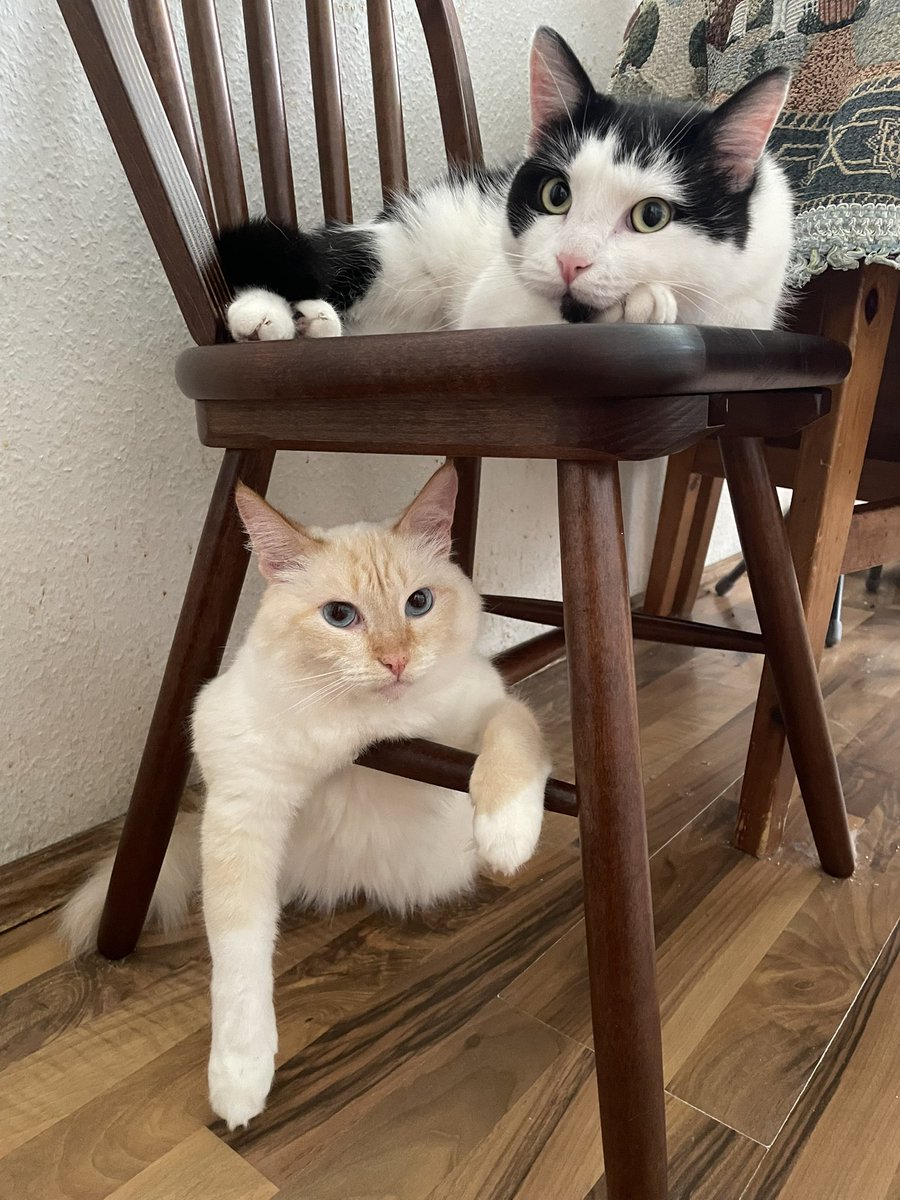 Пан Болеслав и какой-то мутный чорт