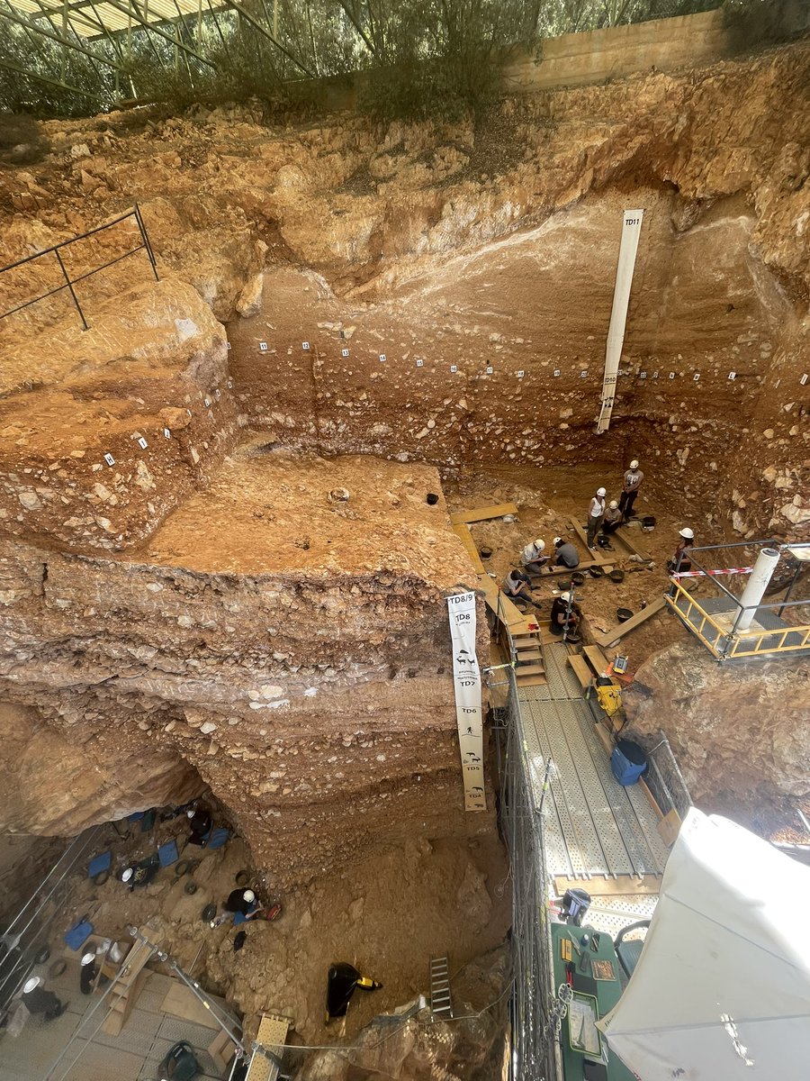 What fucking amazing site!!! #GranDolina #Atapuerca