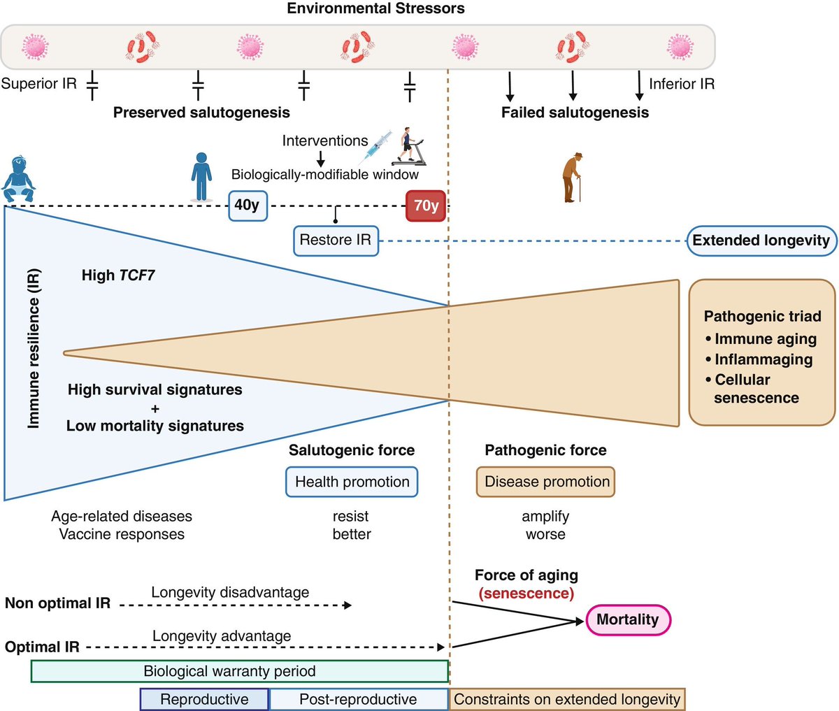 humanOS.me tweet media