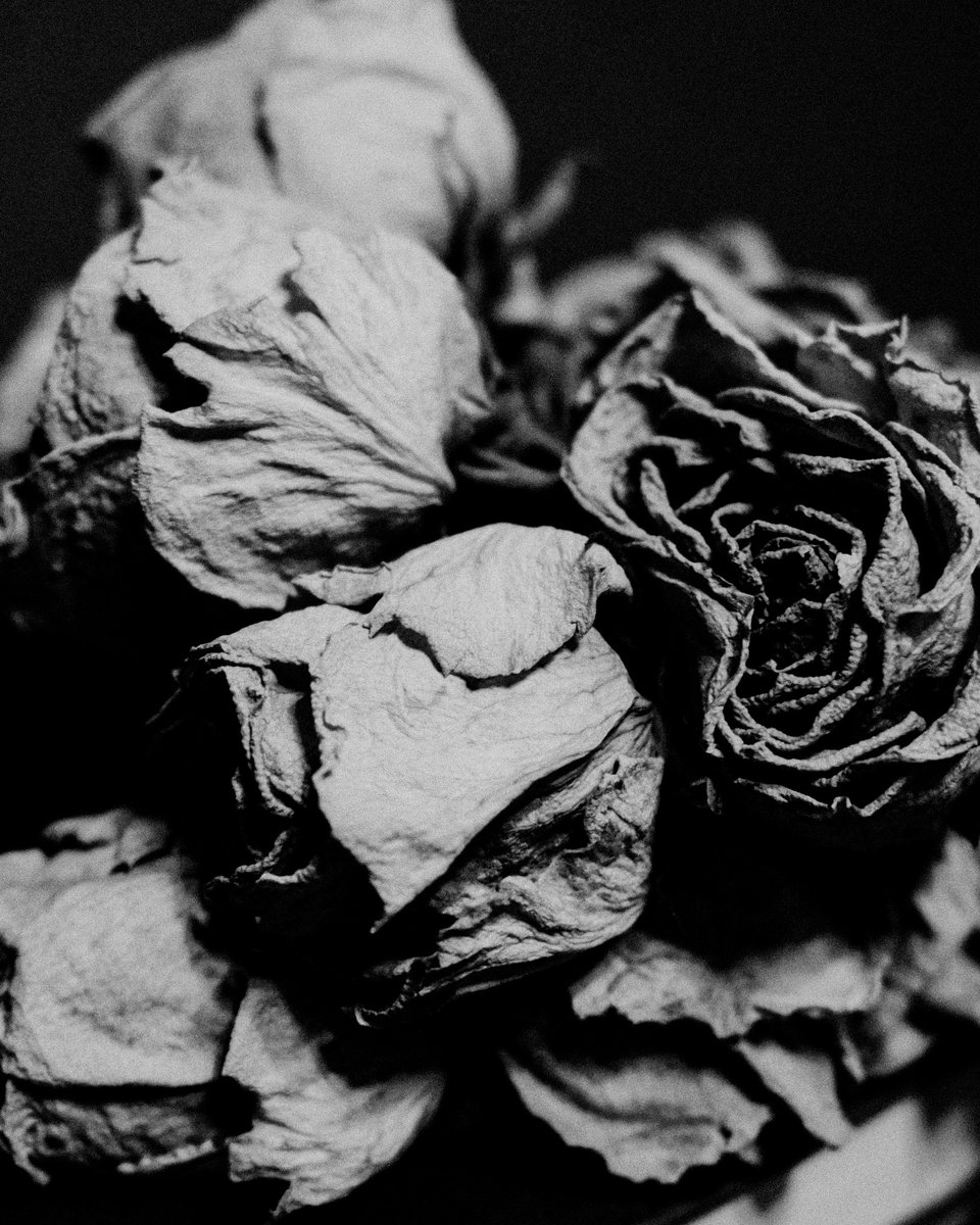 gflo_tx's tweet image. Ain’t nothing like your first batch of flowers