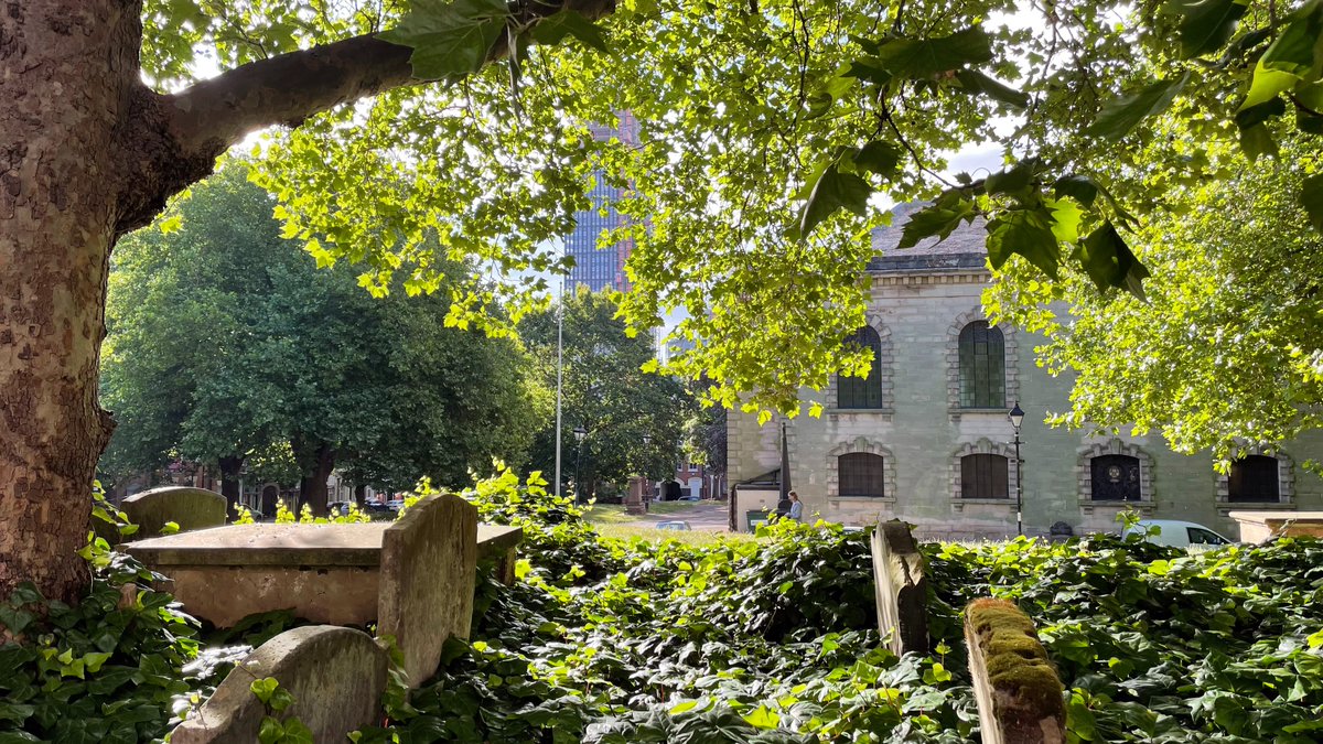We had to share this glorious image of the Square this morning, look at all that green!

<a href="/StPaulsChurchJQ/">St. Paul's Church - JQ</a>