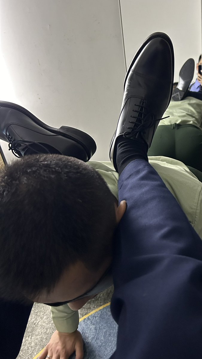 梦想是开家狗咖🐕