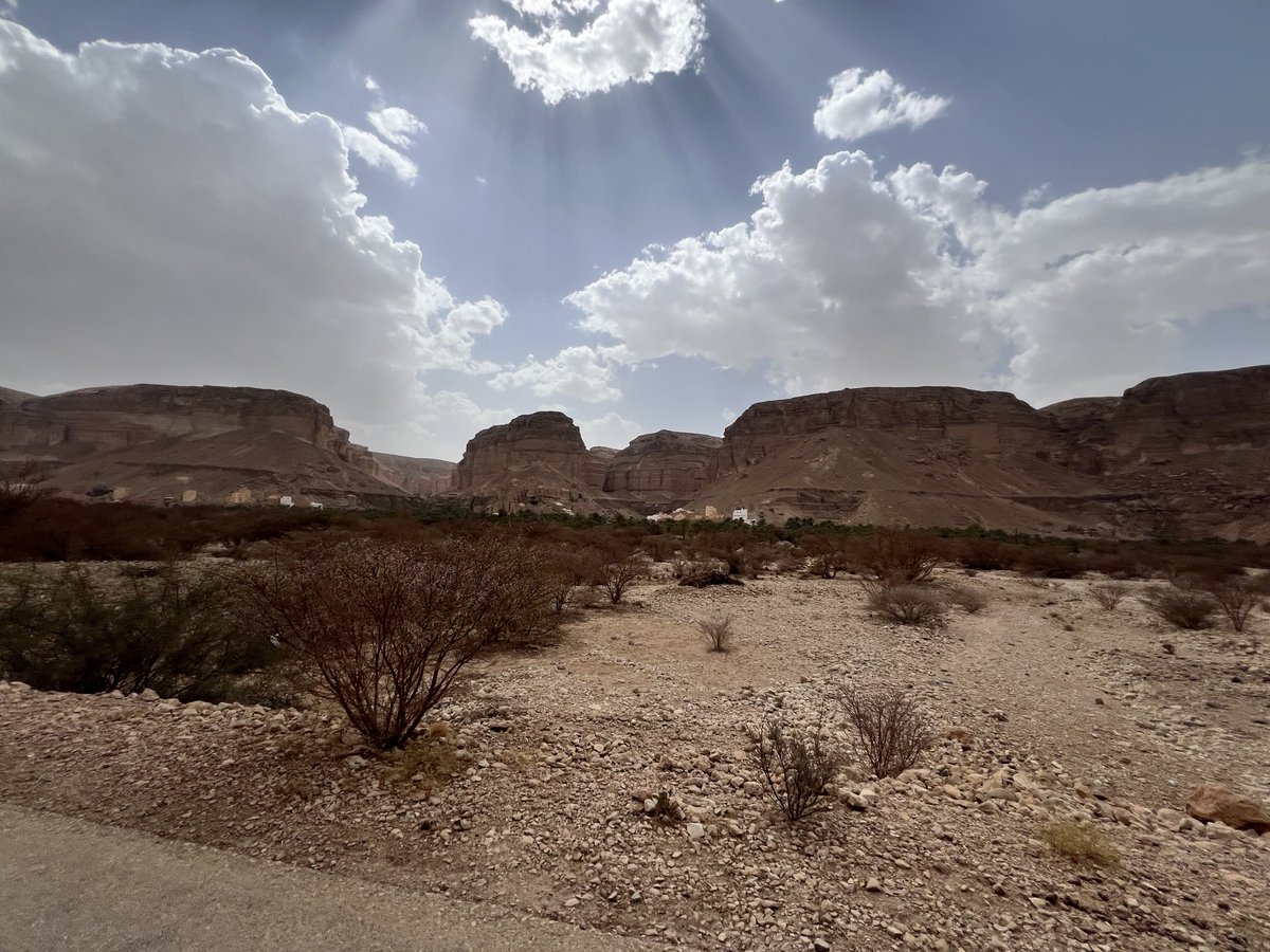 Back to X after a brief break in the rain-thirsty countryside. #Dawan #Yemen