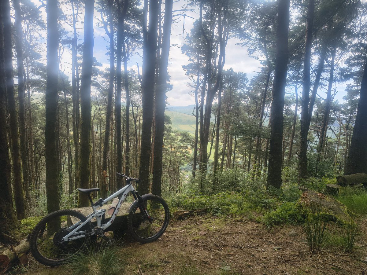 tokesurf76's tweet photo. Another run @ #YWal today...even went for a lie down πon #Omega π€·π»π @Absolutemtb1 ππ΅π»π¨ https://t.co/DT1nuFi6W8