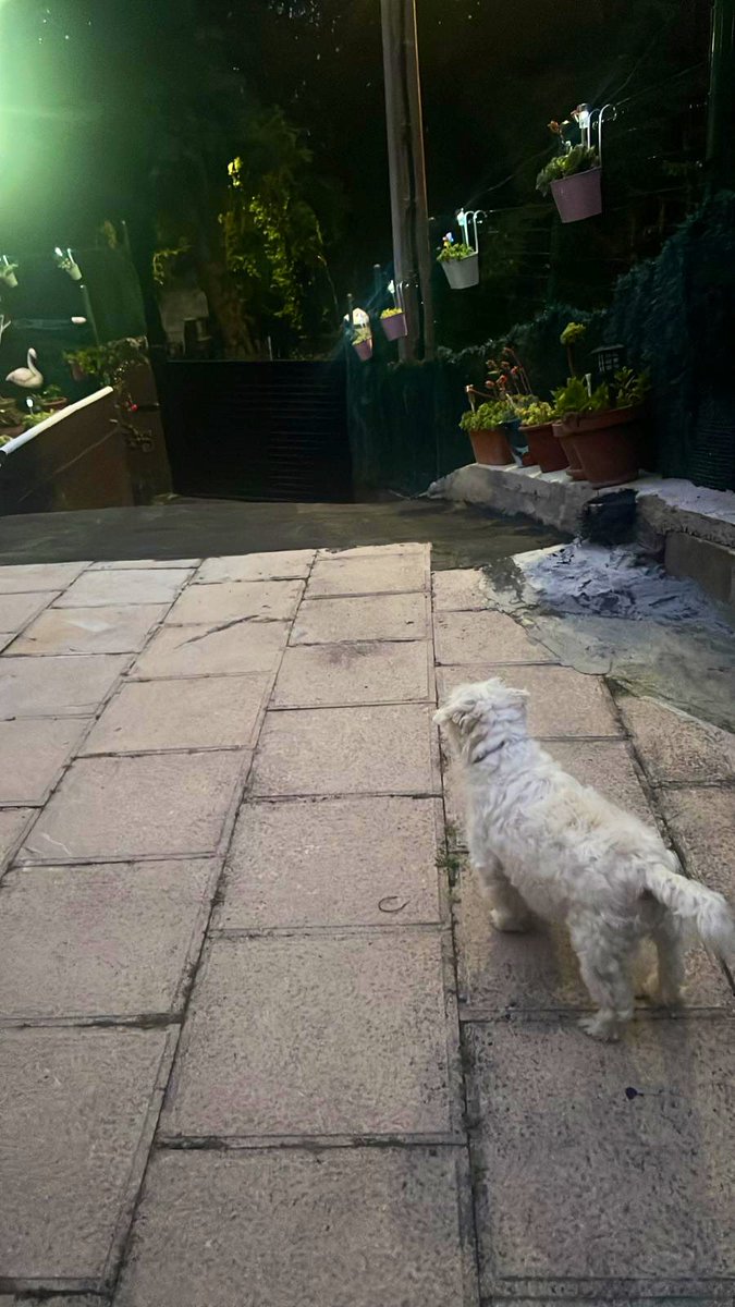 A_Jamart 🏴‍☠️ tweet media