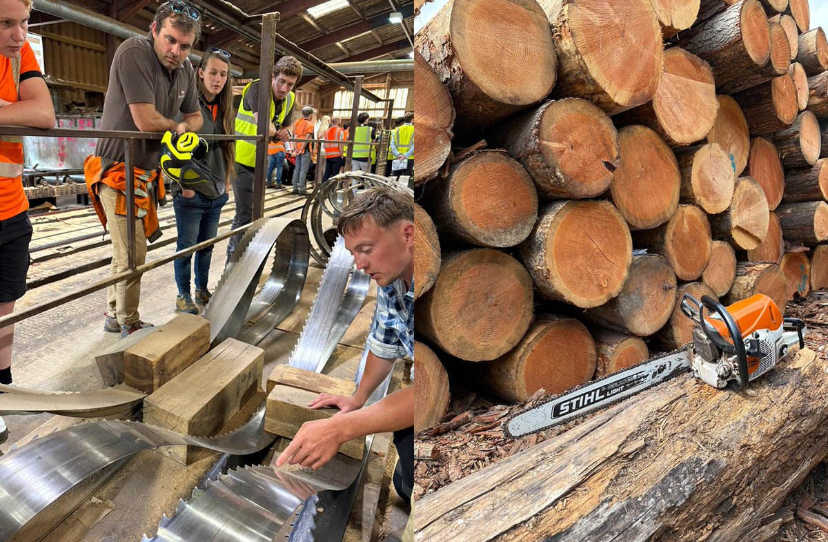 TheICF's tweet image. Great to be at Chatsworth Estate for our Early Career Professionals Study Tour this week 🌞
From woodland establishment to sustainable estate management and sawmill operations, it was an excellent opportunity for early career professionals to meet and learn from the experts.