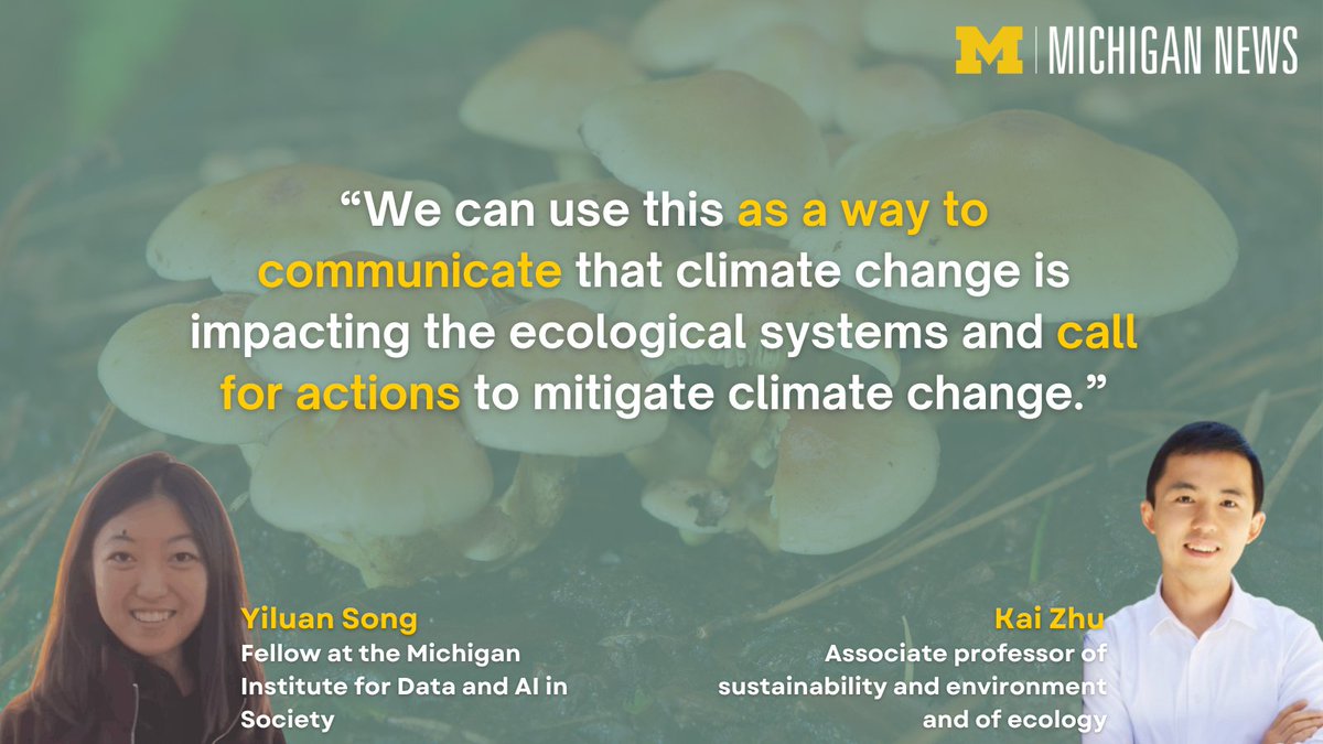 UMichiganNews's tweet image. Yiluan Song, fellow at the Michigan Institute for Data and AI in Society @um_midas, whose study with Kai Zhu, associate professor of sustainability and environment and of ecology and evolutionary biology @UMSEAS, found that seasonal allergies caused by mold and other fungi now…
