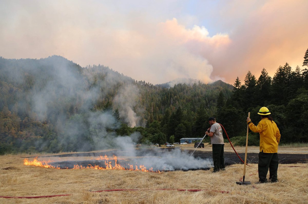 Bill Tripp tweet media