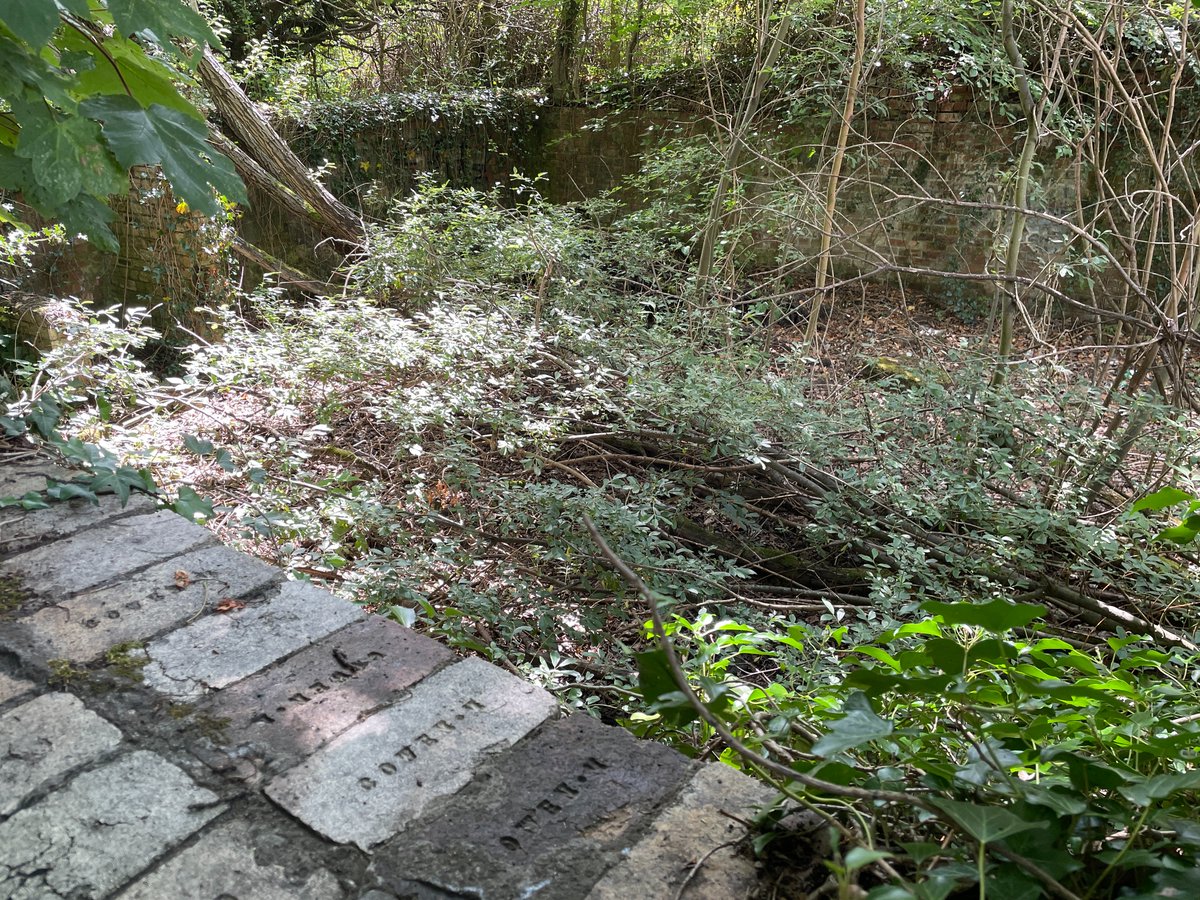 After a lot of poring over maps and scrabbling through undergrowth, Blaydon Burn has revealed another of its secrets! This is the remains of the reservoir which supplied water for Blaydon Burn Colliery. Cowen bricks made 300 yards away! <a href="/neheritagelib/">North East Heritage Library</a> <a href="/alanhinkes/">Alan Hinkes OBE</a> <a href="/coal_legacies/">Mining Landscapes</a>