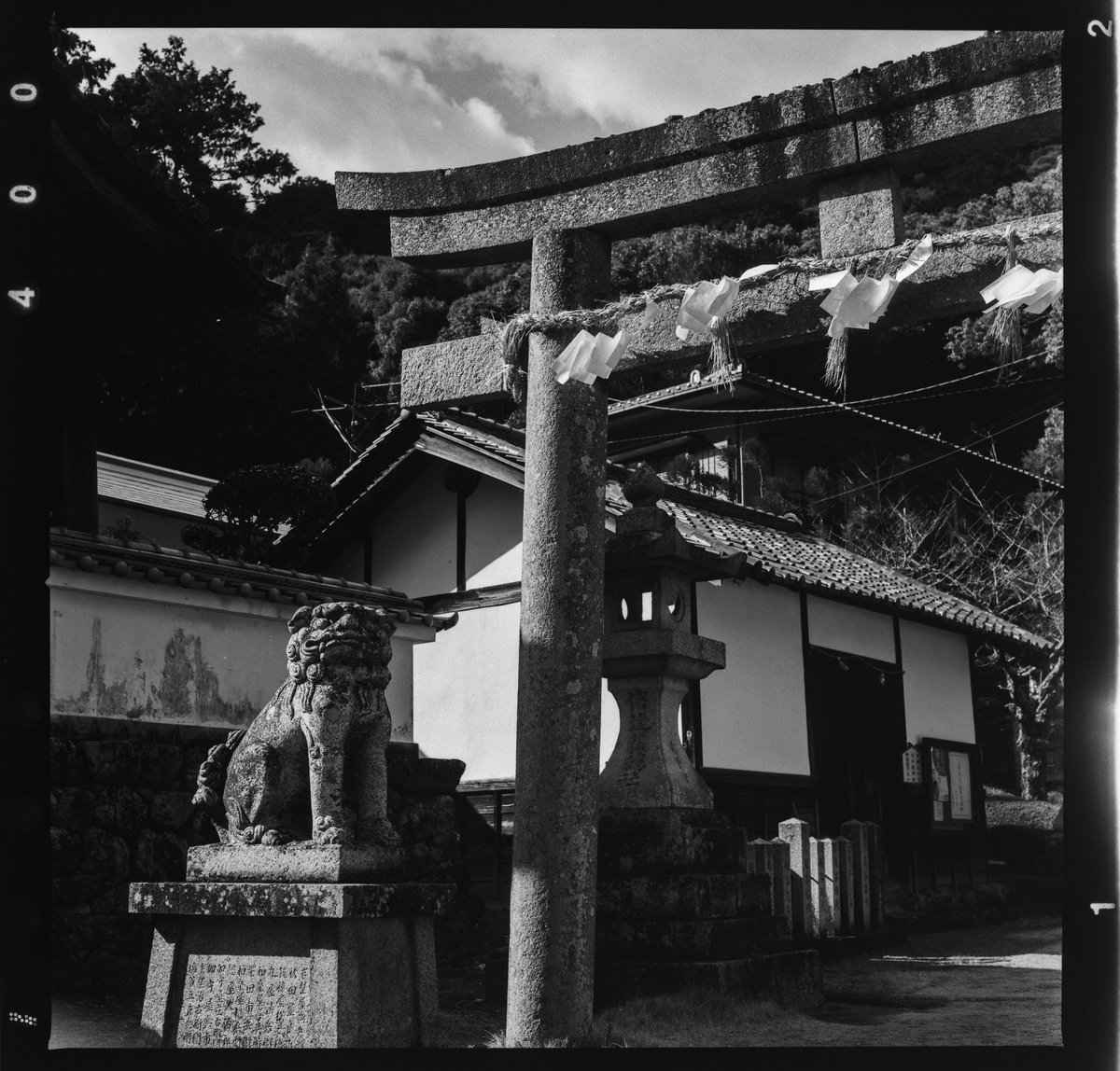 tadanou1's tweet photo. #hasselblad
#rolleiretro400s https://t.co/CWerb9JAA2