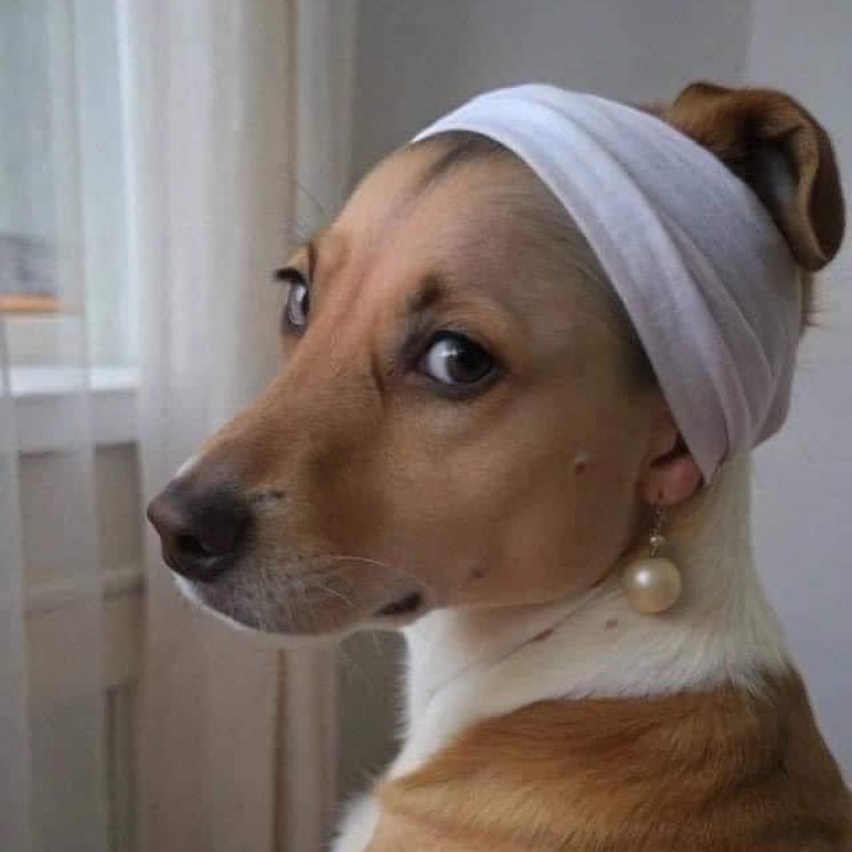 هذيج الابنية الي كل ما تحجي وياها تكول اني شيعيه سابقه و مستحية من التطبير و شيعة اليوم همج مايمثلون تراثنا ما چنه هيج علساس هي بنت الحر العاملي.