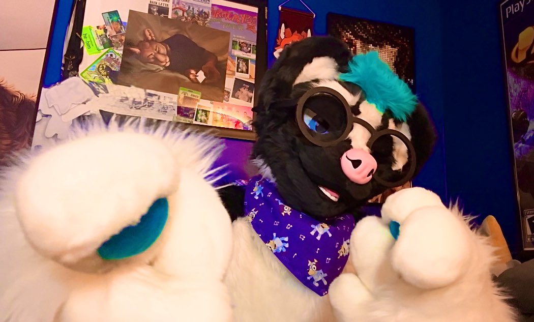 Hey there ~ 

Just a friendly reminder from this stinker:

❤️You are a truly incredible, special, one of a kind bean, and I hope you have a glorious day❤️

The skunk has spoken 🦨

#fursuit #FursuitEveryday #skunk