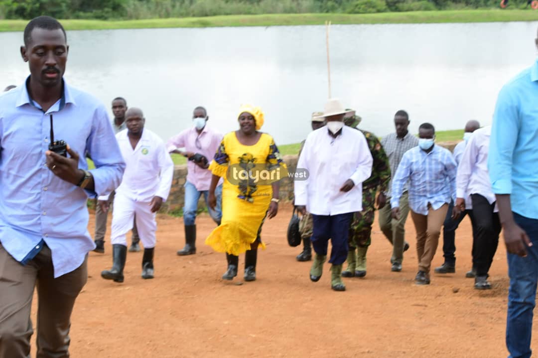 CathyNamuddu's tweet photo. President Museveni has today visited Hon. Atuhaire Jacklet Rwabukurukuru, the owner of Mabamba Farmhouse and Training Demo Centre found in Nakasozi Village, Kasanje Town Council -Wakiso District.

#PDMTours 
#PDMTransformingLives 

📸 @Adolf4shizo https://t.co/BQP8ZfbK0e