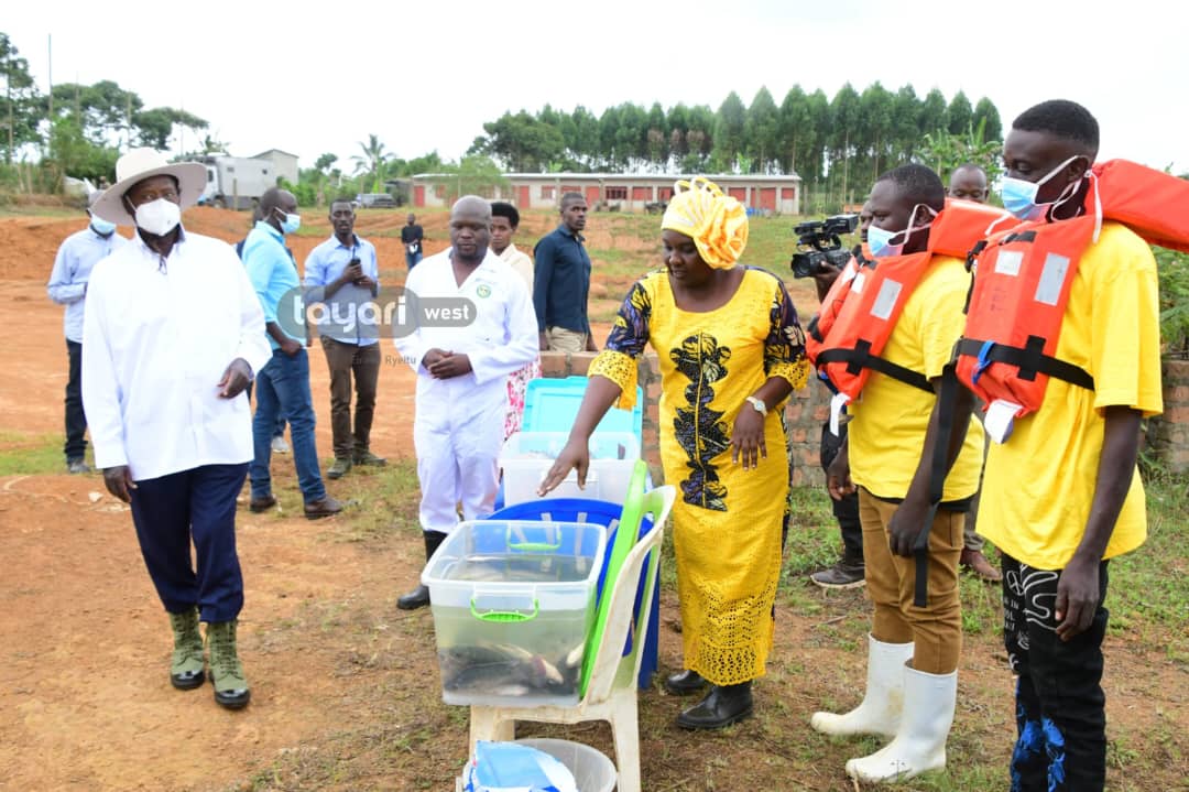 CathyNamuddu's tweet photo. The farm was established in 2016, where they were raising different enterprise which included piggery, poultry, banana plantation and some few diary cows. In 2021, they commercialized this farm and added aquaculture.
#PDMTours
#PDMTransformingLives
📸 @Adolf4shizo https://t.co/vNC3XLKH6L