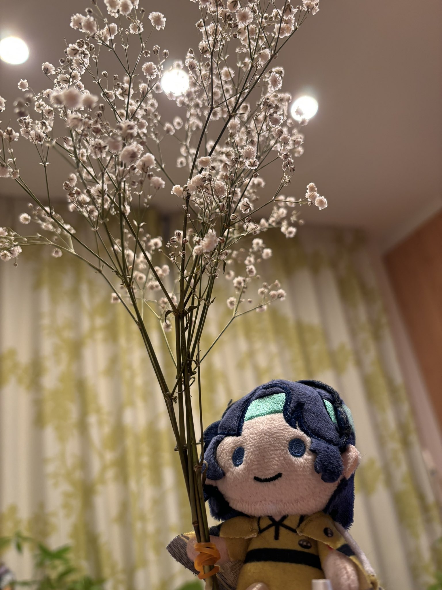 かすみ草 様♡ おしゃれなかすみ草花束「オザキノウエン」