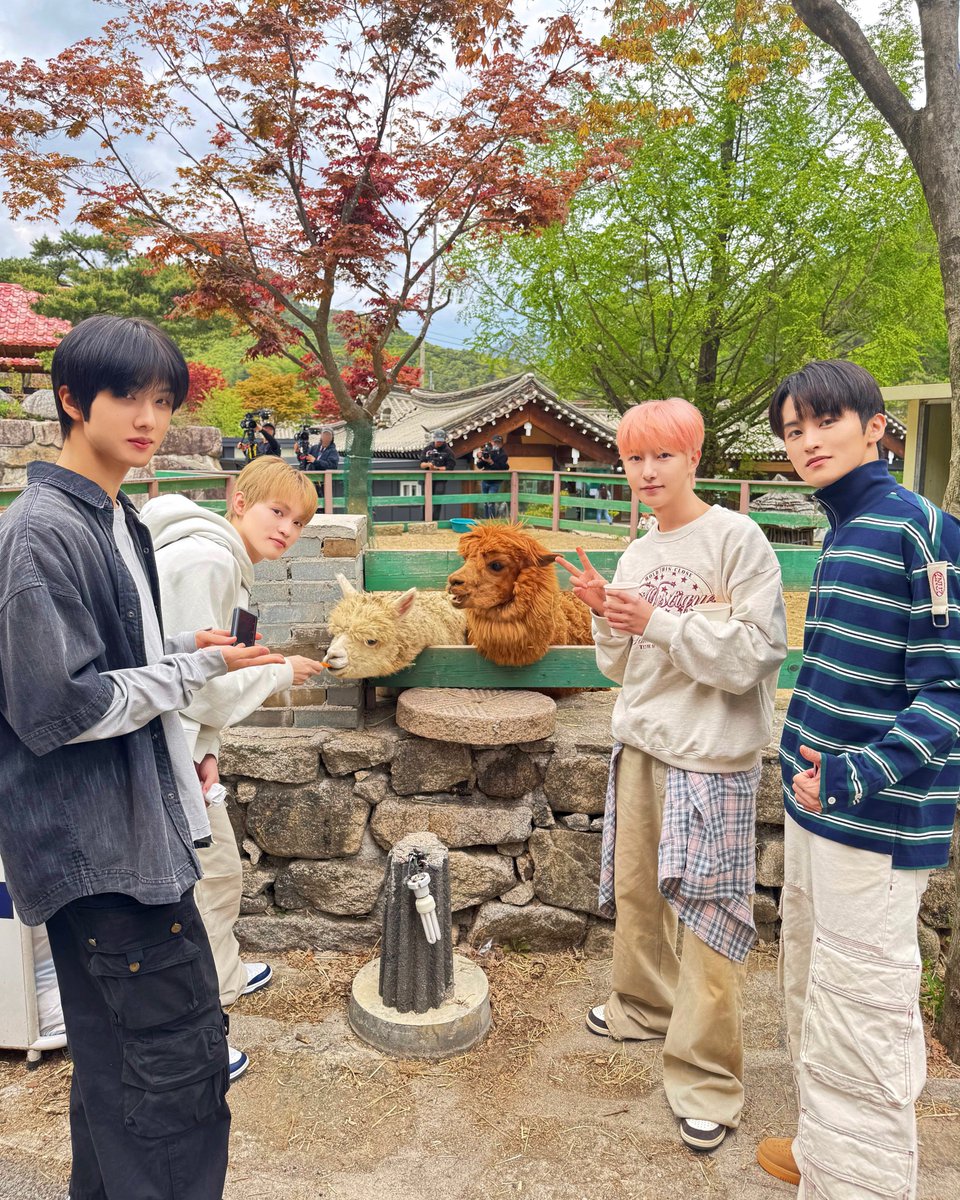 NCT DREAM tweet media