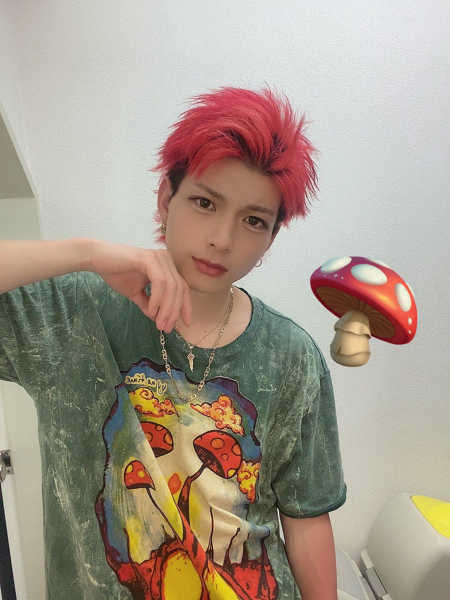 🍄‍🟫🍄‍🟫🍄‍🟫🍄‍🟫( ~･ω･)~ｷﾉｺ~ﾉｺﾉｺ~(🍄•᎑•🍄)