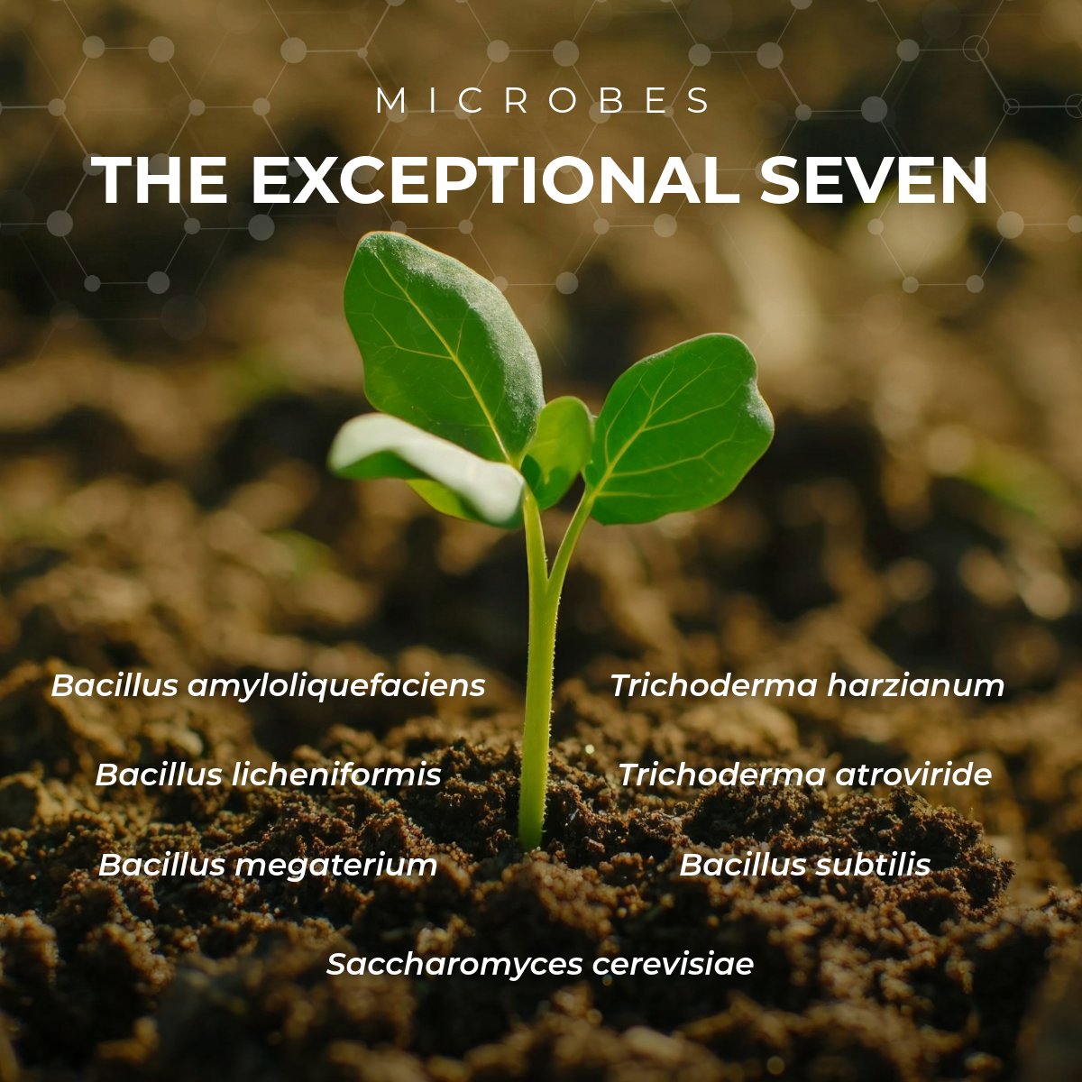 PERFORMANCE NUTRITION AG 🌾 tweet media