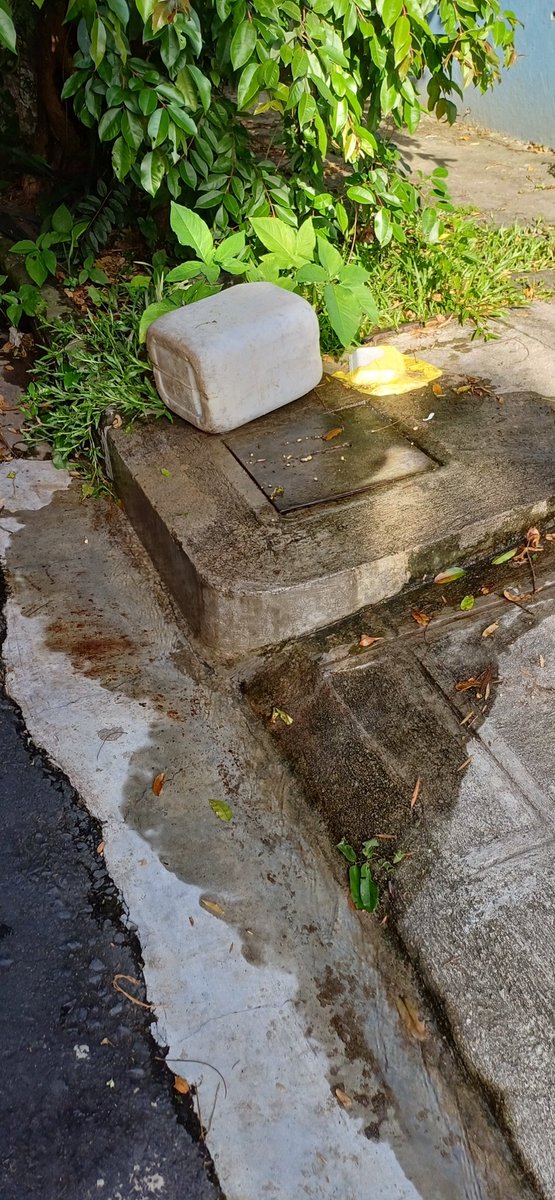 karluiggi's tweet photo. @ANDASV Aun no se han presentado al lugar
Y acá hay otra fuga en la casa 633 siempre de la colonia providencia Calle sevilla san salvador
Al poniente del ex zoológico https://t.co/4Sq0NasCFO