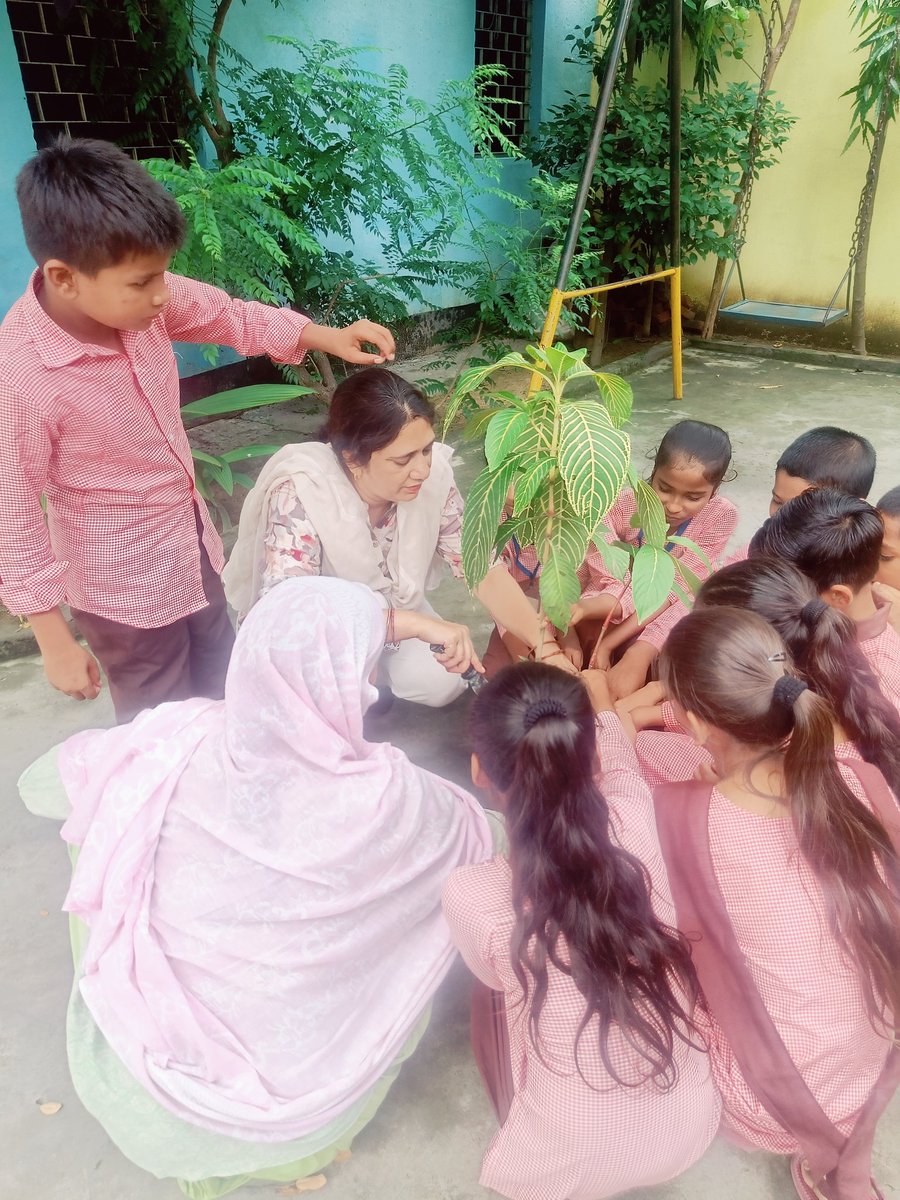 🌳 #प्रकृति_मित्र 🌳
Name -Shabnam Ara
Addres P.S.Lalpur Kalan,saidnagar- Zila- Rampur 
<a href="/shikshansamvad/">मिशन शिक्षण संवाद @shikshansamvad</a>  <a href="/teachersclubup/">teachers club</a> <a href="/UNEP/">UN Environment Programme</a> @eriksolheim <a href="/myogiadityanath/">Yogi Adityanath</a> <a href="/narendramodi/">Narendra Modi</a> <a href="/DEFCCOfficial/">Department of Environment, Forest & Climate Change</a> <a href="/basicshiksha_up/">Department Of Basic Education Uttar Pradesh</a> <a href="/Rupendersingh02/">Rupender Singh MSS</a>
साभार- टीम प्रकृति मित्र 
मिशन शिक्षण संवाद
#EkPedMaaKeNaam