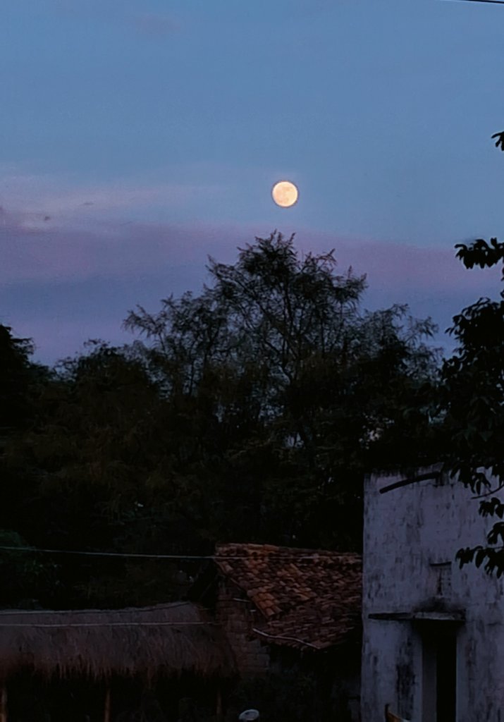 Moonlight