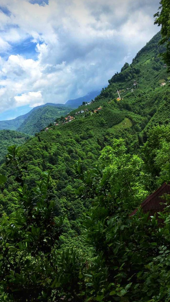 Hepiniz TRABZON'a hayransınız be