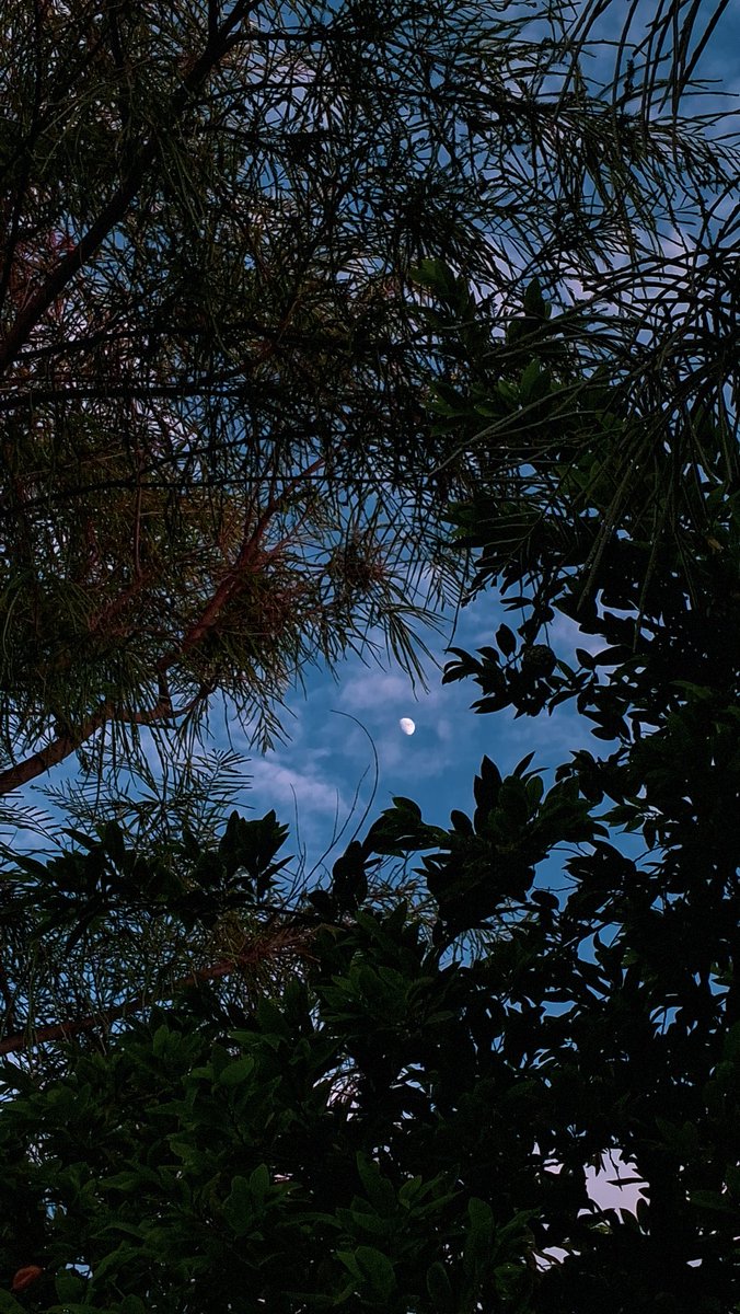 🌙