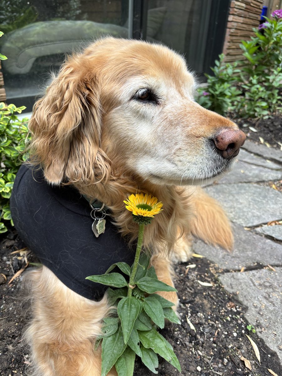 Filomena Tassi tweet media