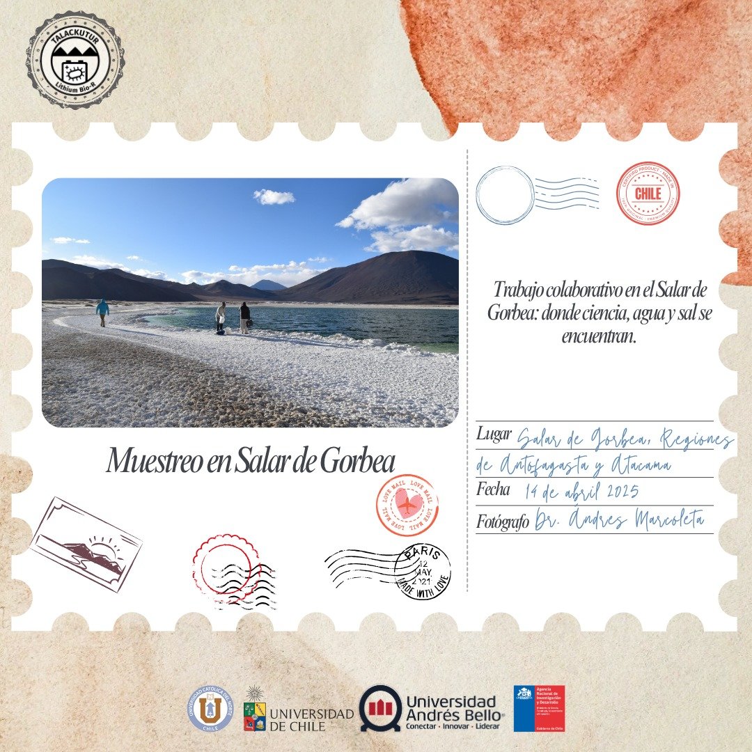 Lithium_rucn's tweet image. 🌄 ¡Bienvenid@s a una nueva entrega de nuestras #PostalesTalackutur!
Una serie donde ciencia, paisaje y exploración convergen en los salares altoandinos de Chile.