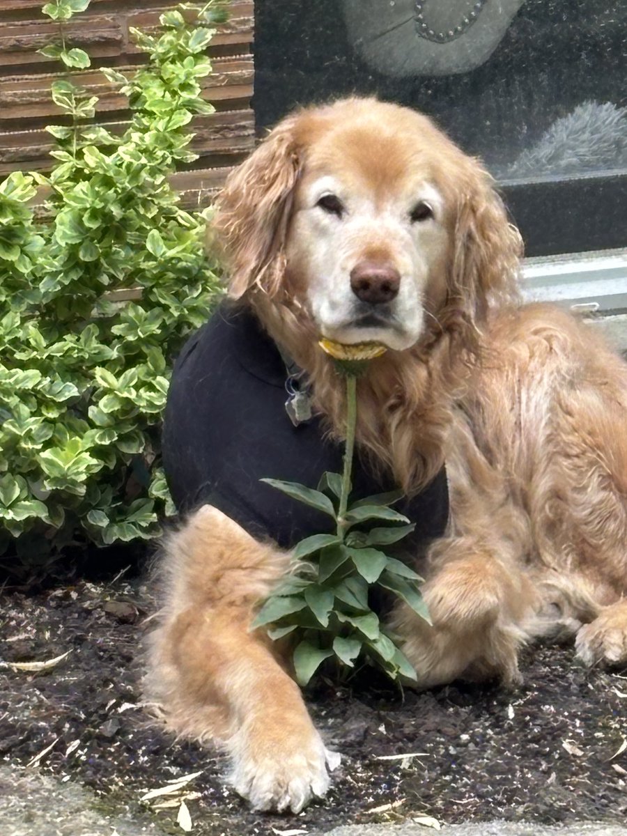 Filomena Tassi tweet media