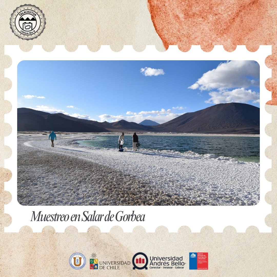 Lithium_rucn's tweet image. 🌄 ¡Bienvenid@s a una nueva entrega de nuestras #PostalesTalackutur!
Una serie donde ciencia, paisaje y exploración convergen en los salares altoandinos de Chile.