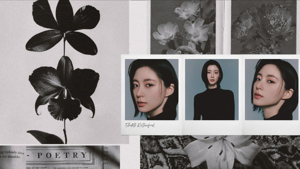 Elodith Rutherford tweet media