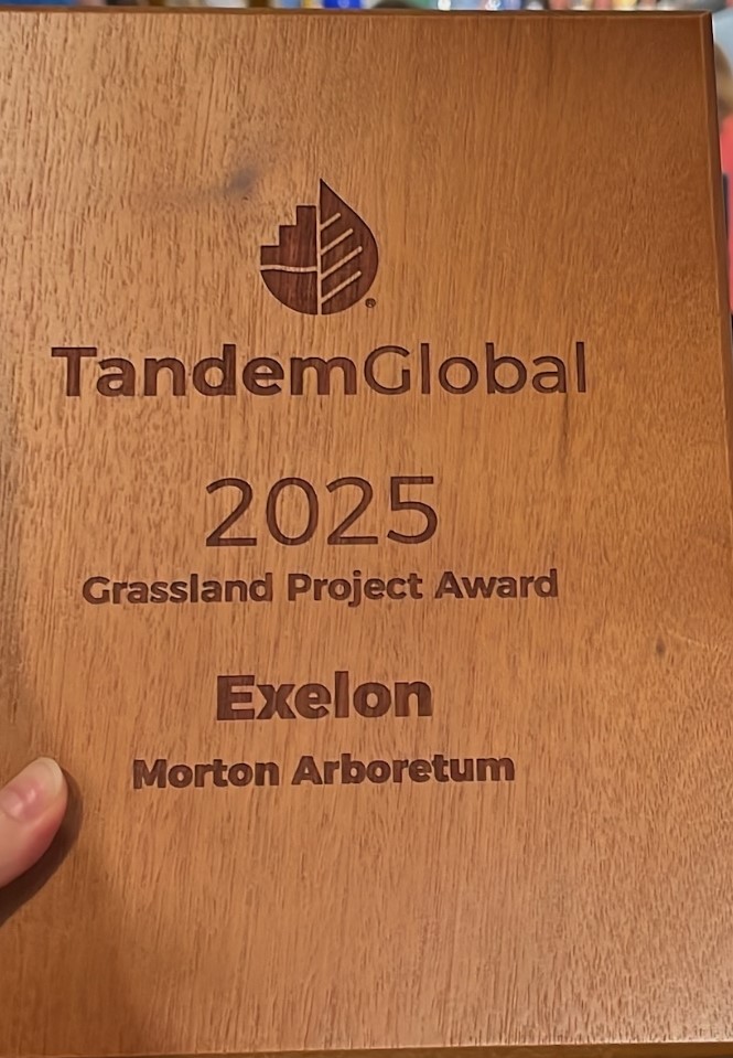 ComEd's tweet image. We’re excited to share that our prairie project at The @MortonArboretum has been recognized with the Tandem Global Award! 🏆 Our 6.8-acre site focuses on pollinator habitat enhancement and helps connect green spaces within the Morton Arboretum’s 1,700-acre complex of tree…